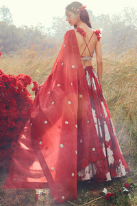 Red Dahlia Lehenga Set