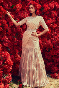 Champagne Tara-Nurekha Pre-Stitched Saree