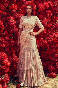 Champagne Tara-Nurekha Pre-Stitched Saree