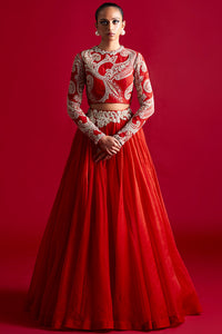 Bold Ambi Blouse And Organza Skirt Set