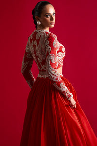 Bold Ambi Blouse And Organza Skirt Set