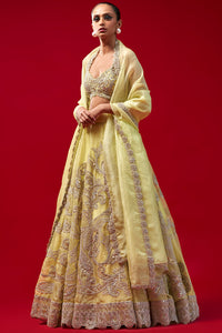 Mint Green Paisley Jaal Lehenga Set