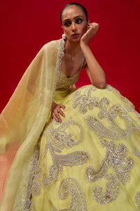 Mint Green Paisley Jaal Lehenga Set