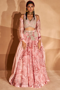 Blush Bahaar Lehenga Set