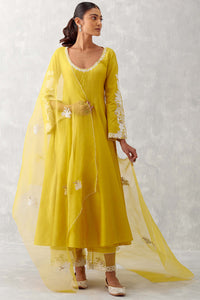 Mustard Yellow Embroidered Anarkali Set