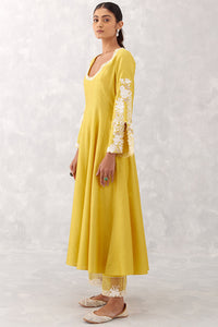 Mustard Yellow Embroidered Anarkali Set