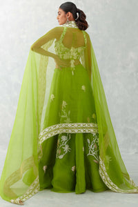 Green Embroidered Silk Organza Lehenga