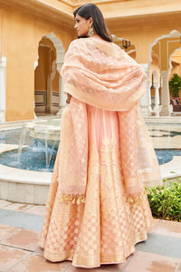 Zaina Lehenga Set - Blush