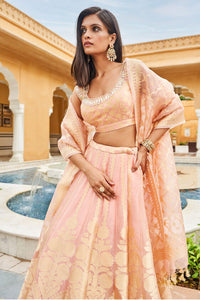 Zaina Lehenga Set - Blush