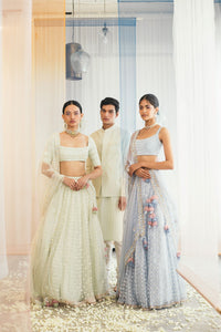 Meadow Mist Pleated Organza Lehenga