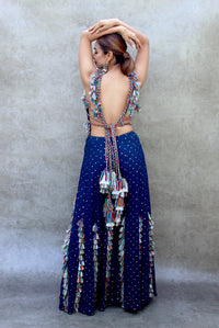 Midnight Blue Embroidered Choli and Sharara