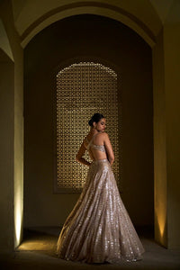 Light Gold Gown