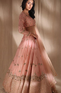 Pink Zari Silk Lehenga