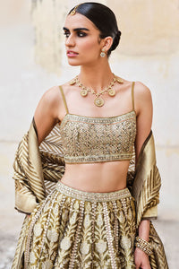 Adveka Silk Lehenga Set