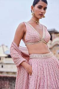 Alara Printed Mul Lehenga Set