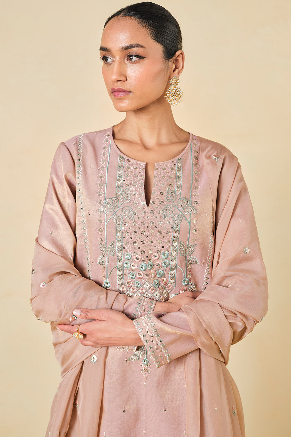 Ambudhi Embroidered Suit Set