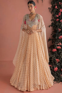 Rimza Skirt & Cape Set