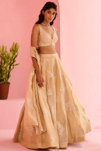 Adah Lehenga Set