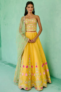 Falak Lehenga Set