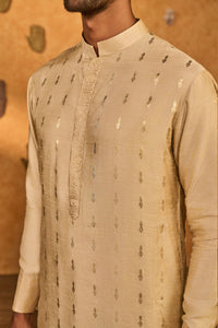 Beige Littile Pots Kurta Set