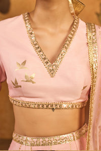Baby Pink Mandarin Sky Lehenga Set