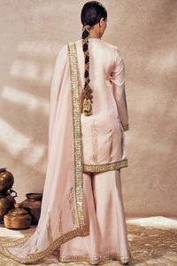 Baby Pink Whispering Lily Sharara Set