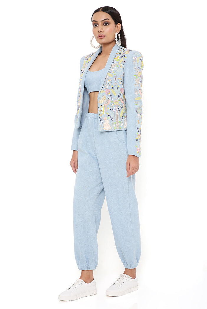 Payal Singhal  Blue Embroidered Jacket With Bustier And Jogger –  LIVEtheCOLLECTIVE