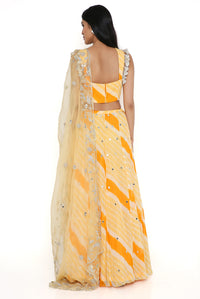 Yellow Embroidered Choli And Lehenga With Dupatta