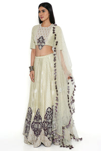 Mint Banarasi Silk Embroidered Choli And Lehenga With Dupatta