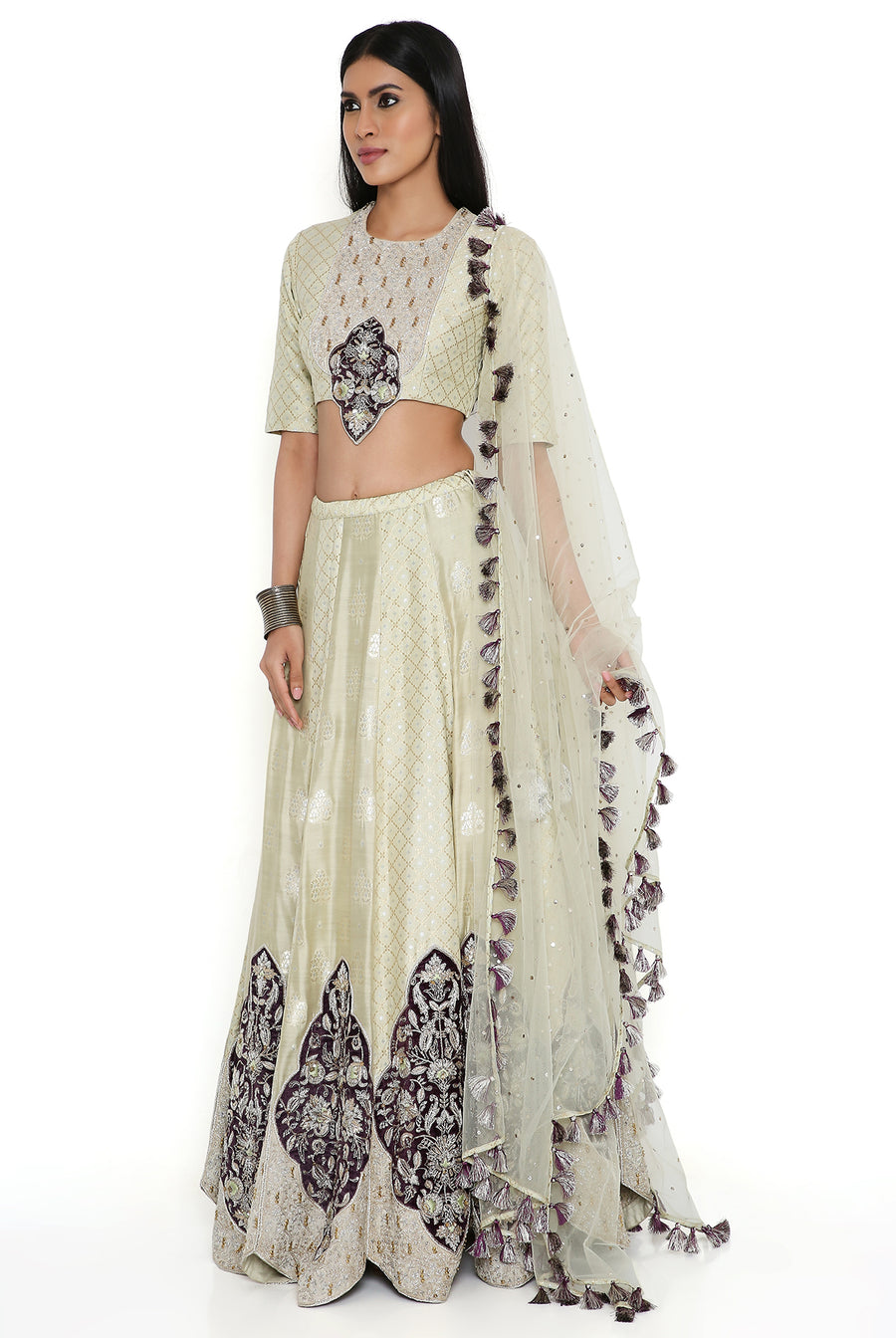 Mint Banarasi Silk Embroidered Choli And Lehenga With Dupatta