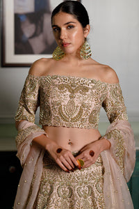 Aida Blush Embroidered Choli And Lehenga Set