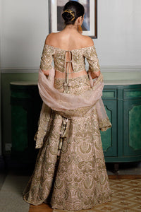 Aida Blush Embroidered Choli And Lehenga Set