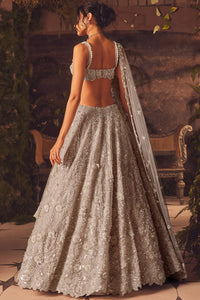 Luminous Lehenga Set