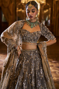 Antique Brown Lehenga Set