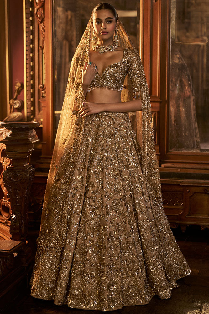 Antique Gold Tissue Lehenga Set