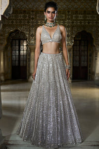 Champagne Mirror Work Lehenga Set