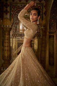 Gold Sequin Lehenga Set