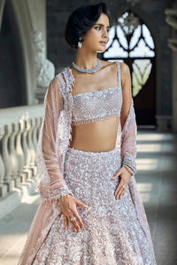 Mauve Sequin Lehenga Set