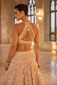 Multi-Coloured Three-Dimensional Floral Lehenga