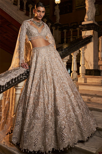 Nude Silver Cut Work Lehenga Set