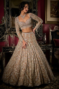 Nude Silver Lehenga Set