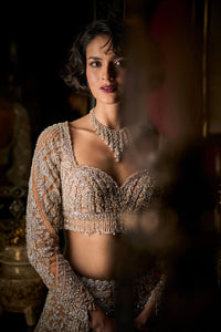 Nude Silver Lehenga Set