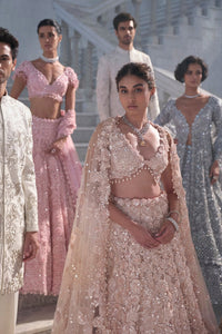 Powder Peach Cut Work Lehenga Set