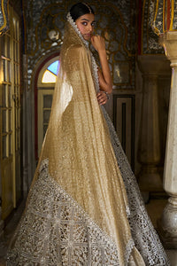 Silver Cut Work Lehenga