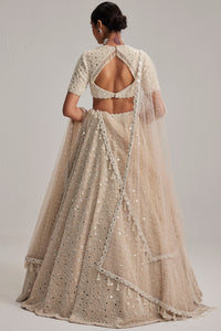 Light Beige High Neck Blouse Lehenga Set