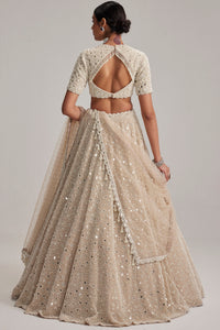 Light Beige High Neck Blouse Lehenga Set