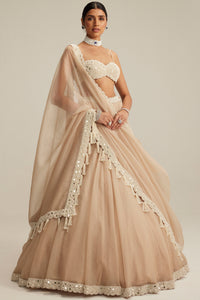 Light Beige Organza Mirror & Pearl Lehenga