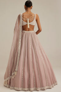 Ash Pink Pearl Linear Lehenga