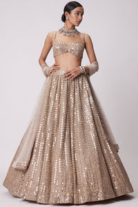 Light Beige Hand Embroidered Lehenga Set