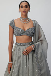 Crystal Grey Sequins Organza Lehenga Set